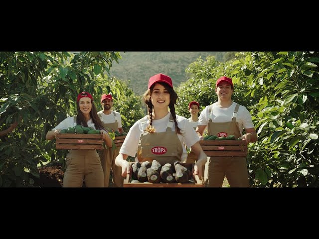 Publicidad que te ha impactado