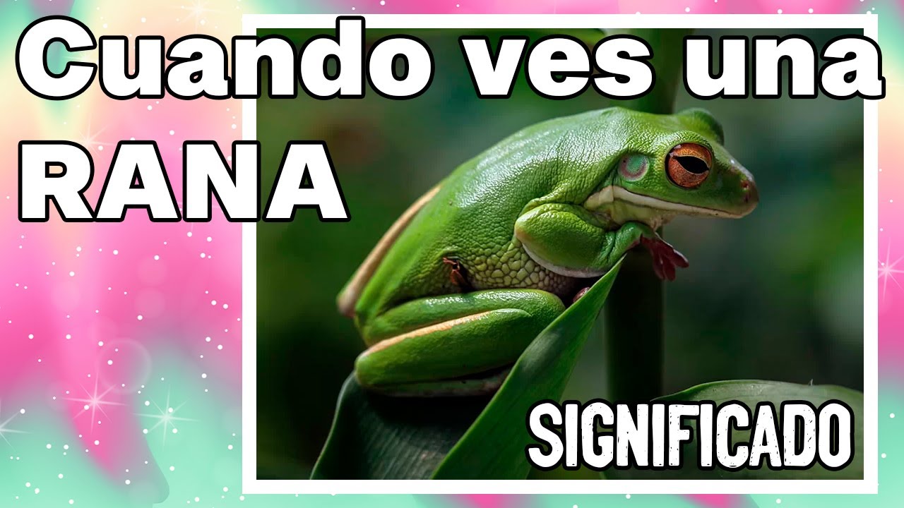 Punto de encuentro de ranas: las hojas