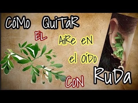 Remedio natural: ruda para el dolor de oído