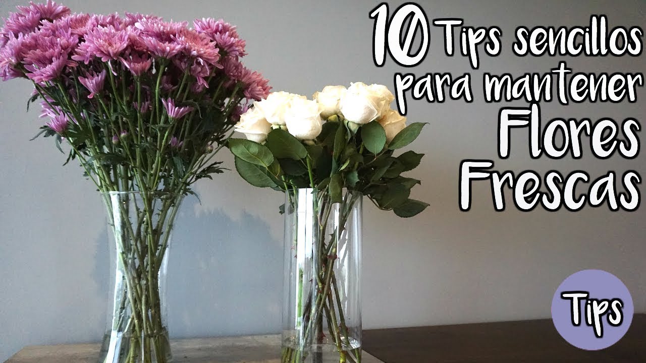 Secretos para que tus flores duren más