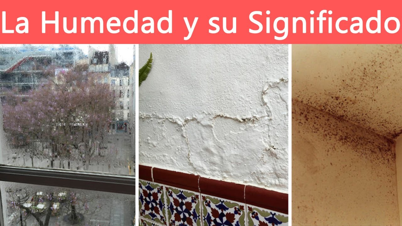 Significado de los problemas de agua en casa