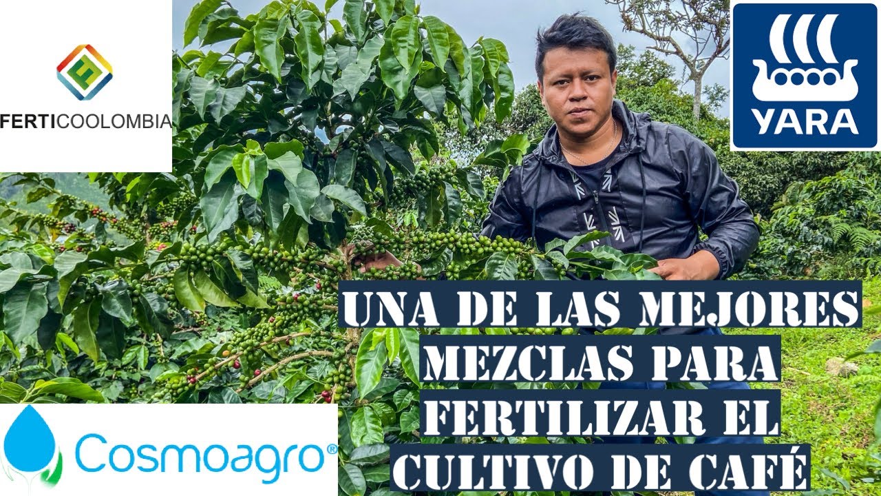 Tipos de fertilizantes para el café