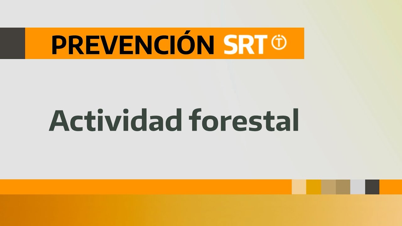 Todo sobre la actividad forestal