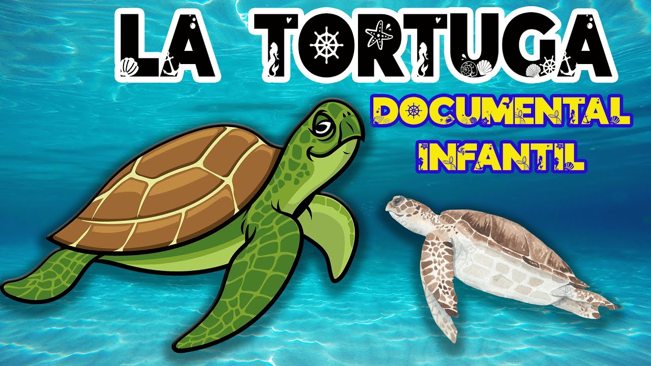 Tortuga ovípara en agua