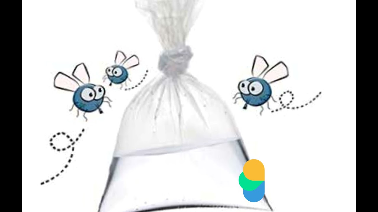 Trampa de agua en bolsa para moscas