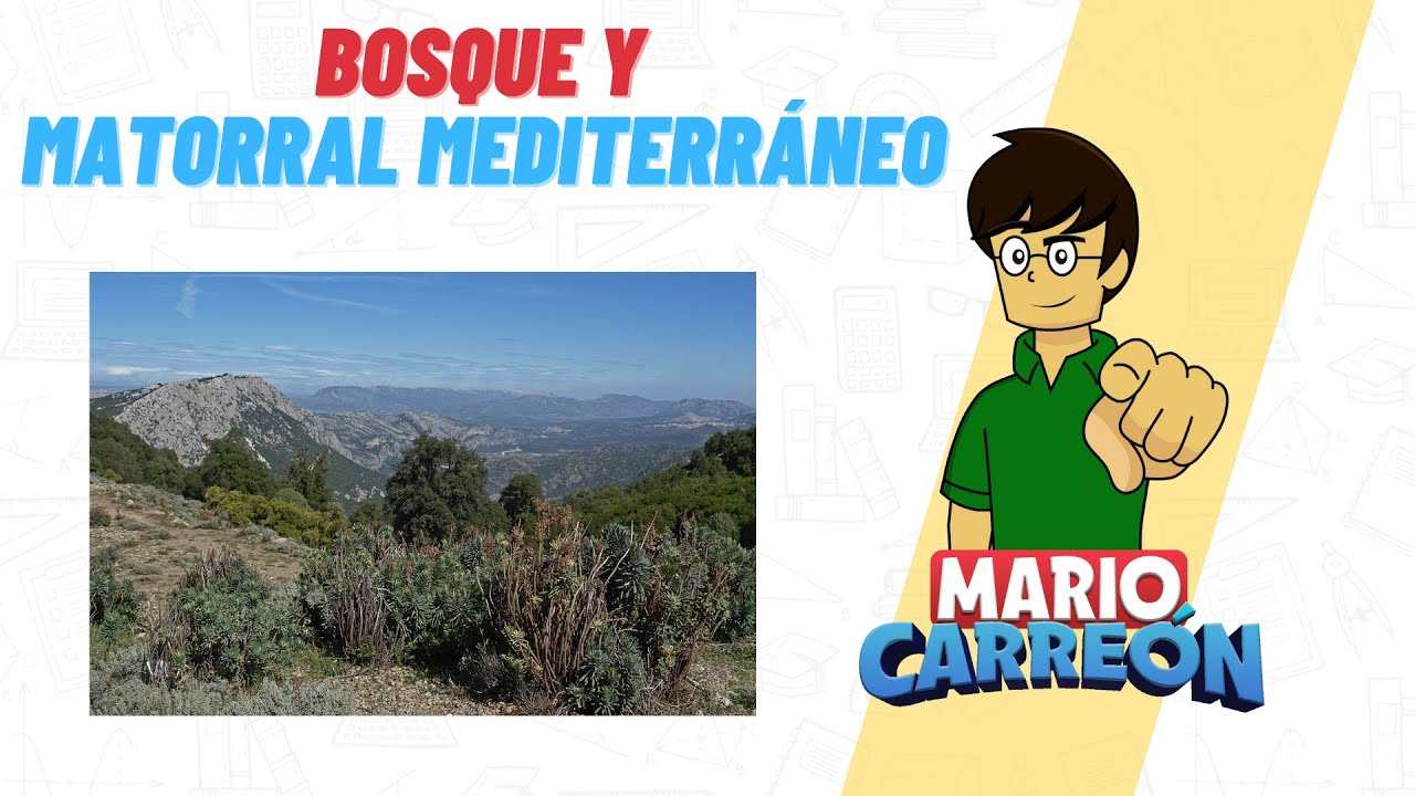 Ubicación de los bosques mediterráneos