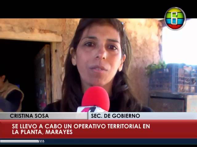 Usos de la hierba de la sosa