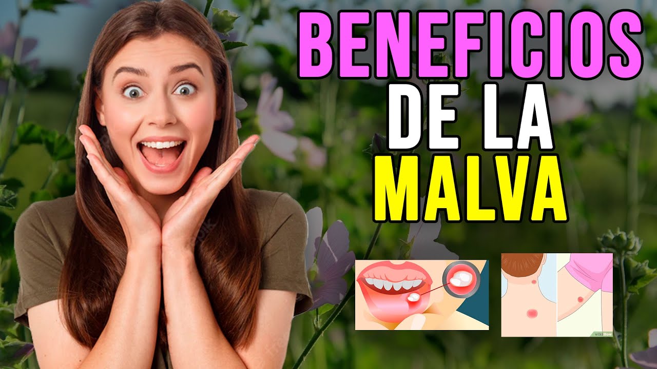 Usos de la hierba malva rosa