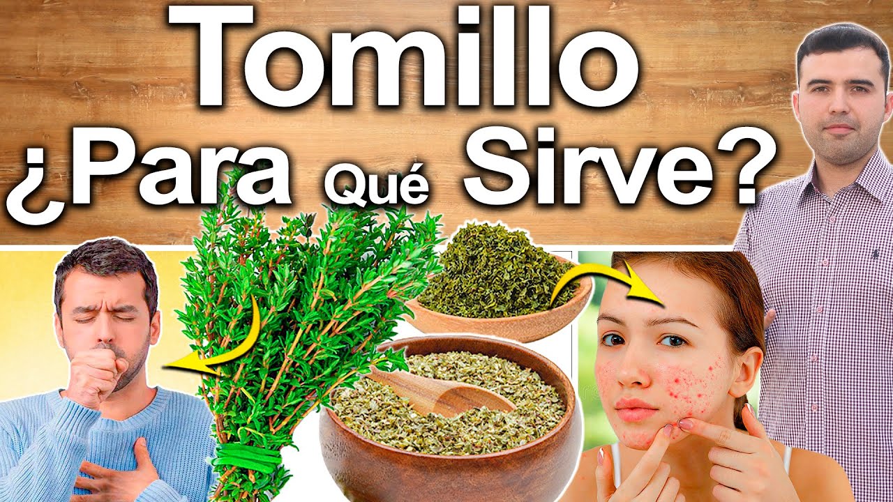 Usos medicinales del tomillo de Just