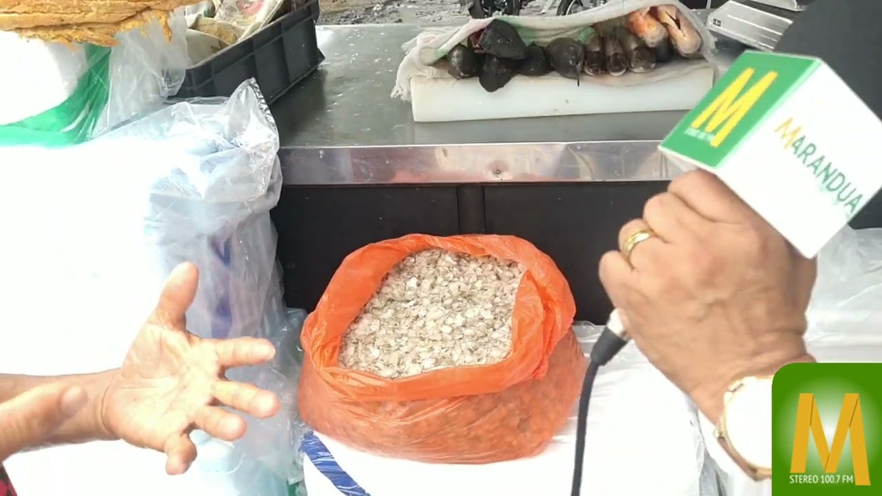 Usos y beneficios de las escamas de pescado