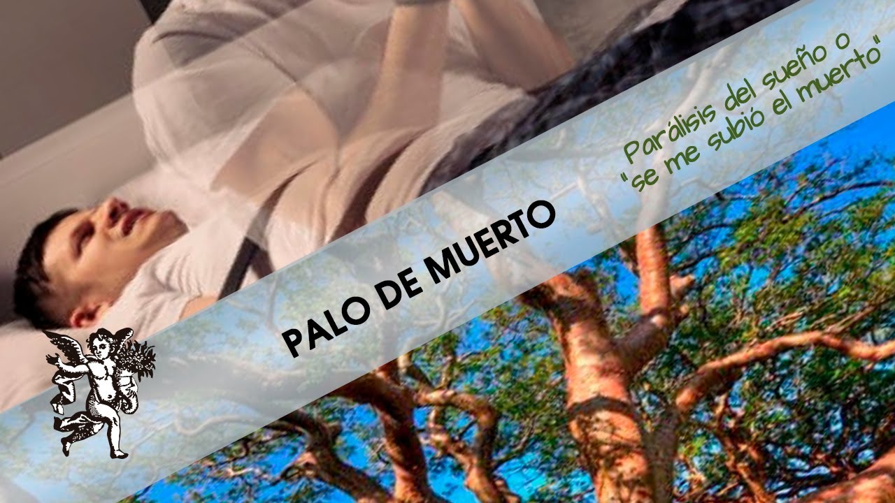 Usos y beneficios del palo de muerto