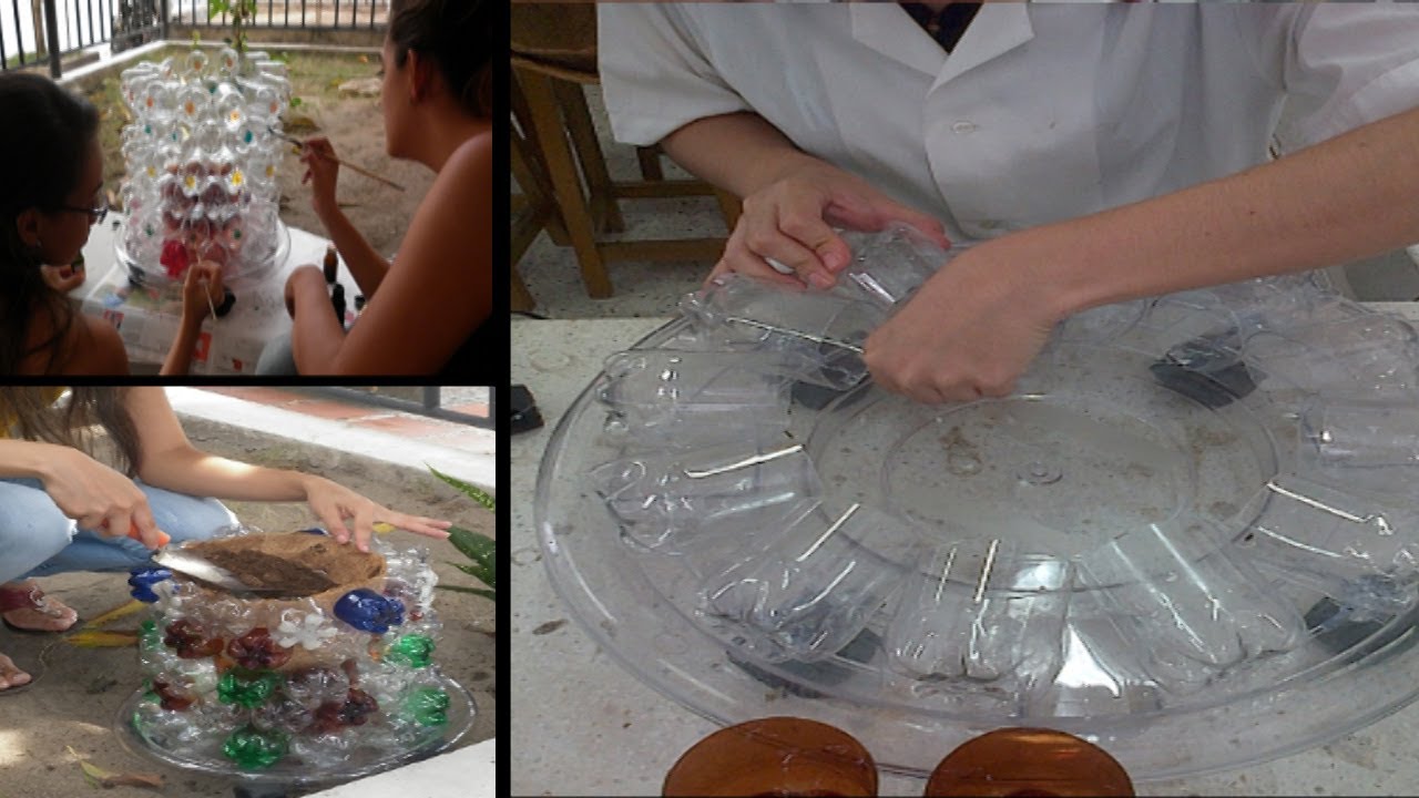 Valores ecológicos: educación clave para la preservación del planeta