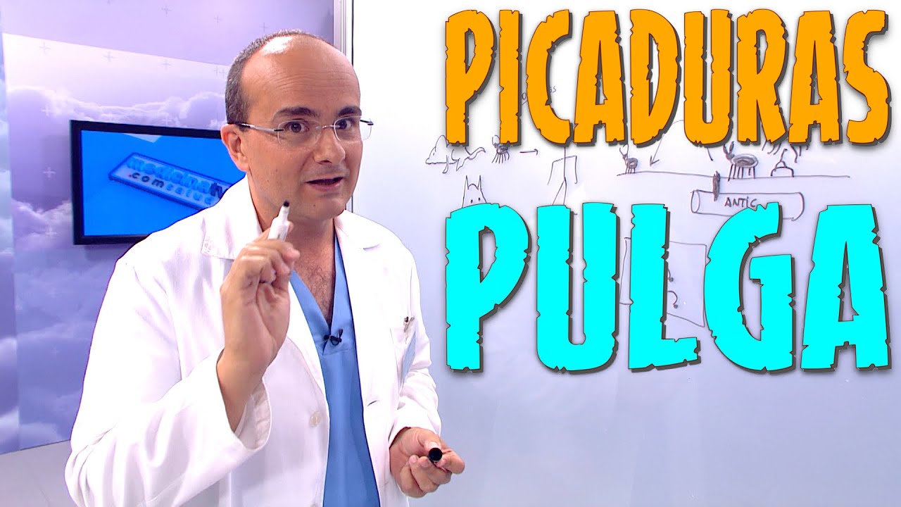 Visualizando piquetes de pulga