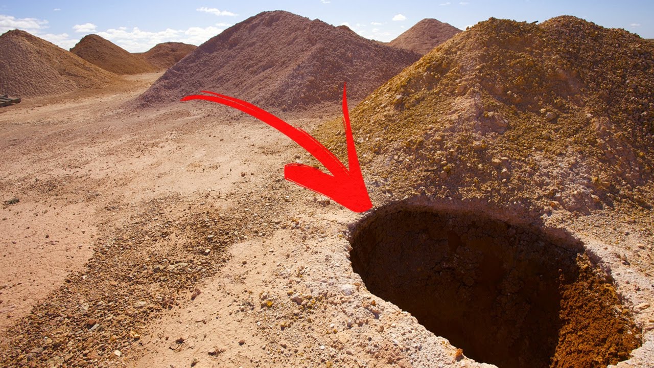 ¡Conoce a los habitantes subterráneos!