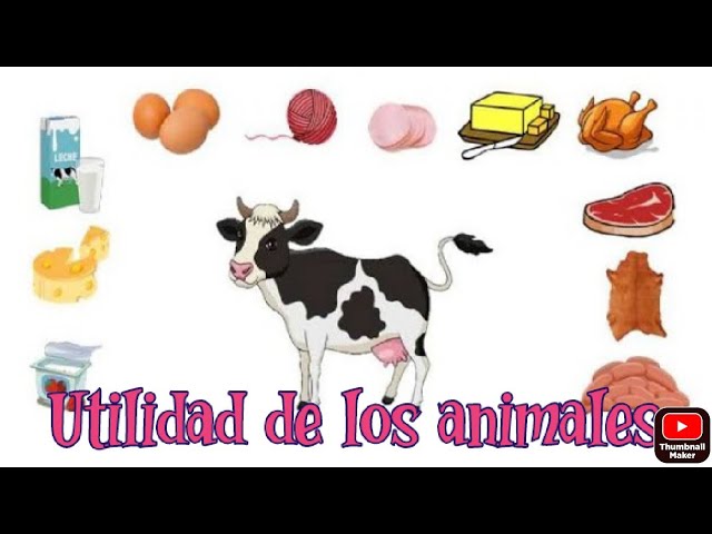 ¡Devuélvele la vida a los animales en los productos!