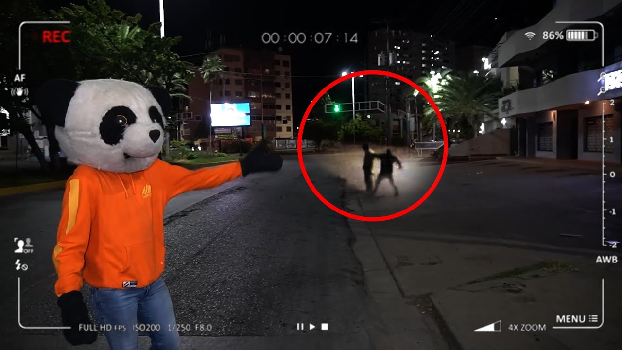 ¿Cómo se dice panda en Venezuela?