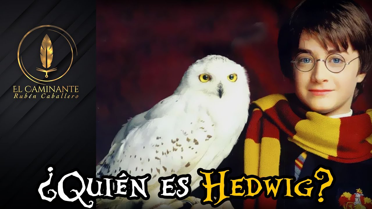 ¿Cómo se llama la lechuza de Harry Potter?
