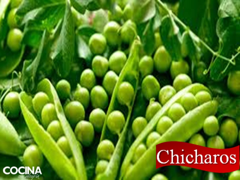 ¿Cómo se llaman los chícharos en España?