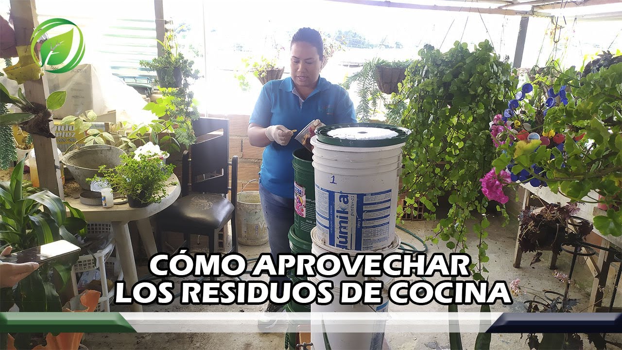 ¿Cómo se llaman los residuos de comida?