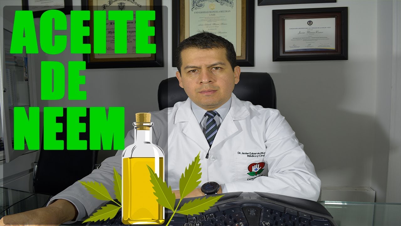 ¿Cuál es el mejor aceite de neem?