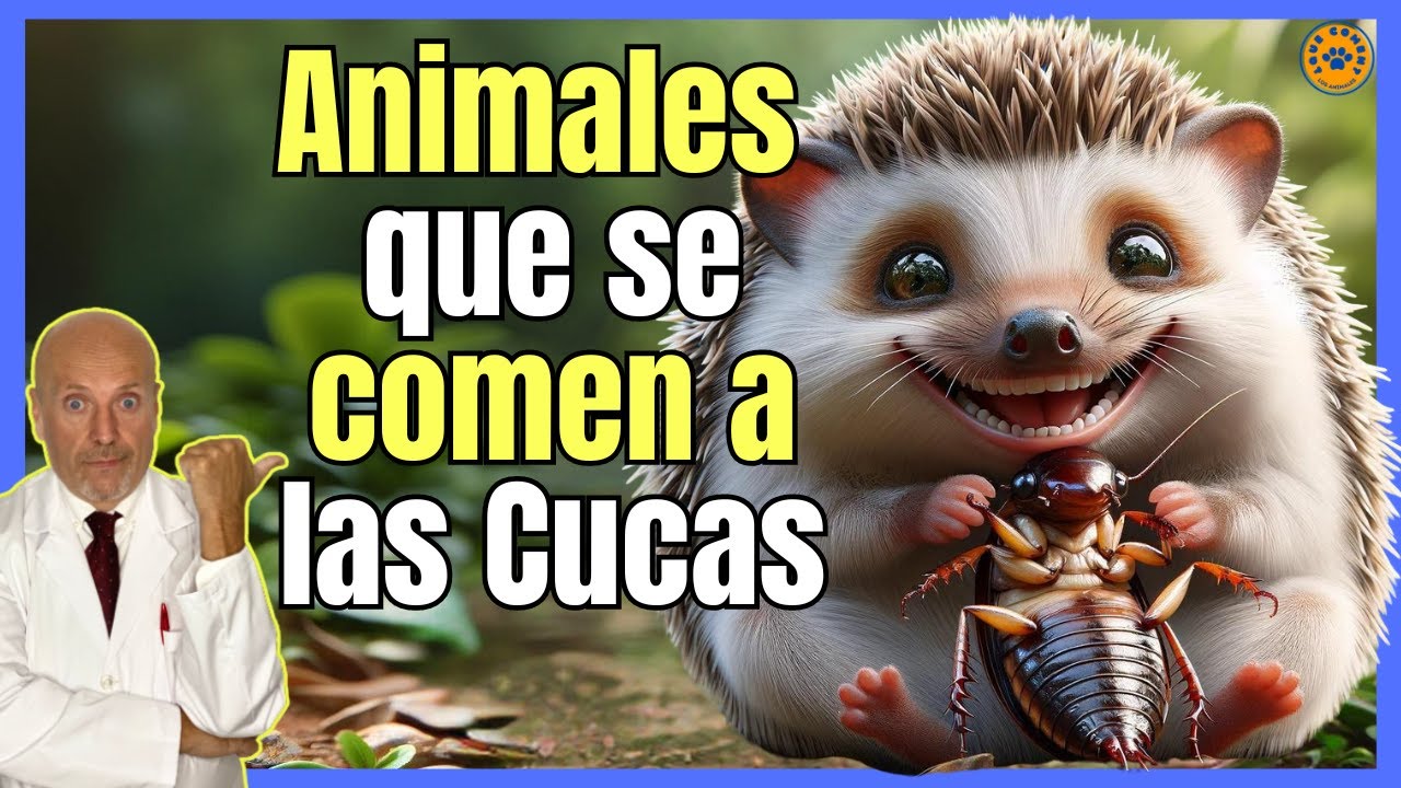 ¿Qué animal se come las cucarachas?
