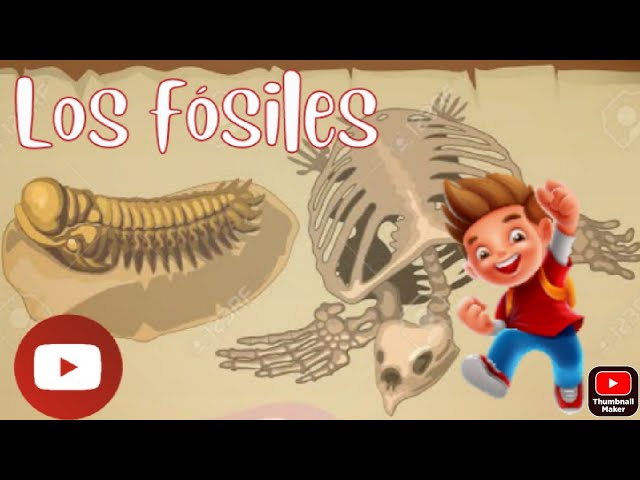 ¿Qué revelan los fósiles de huellas?