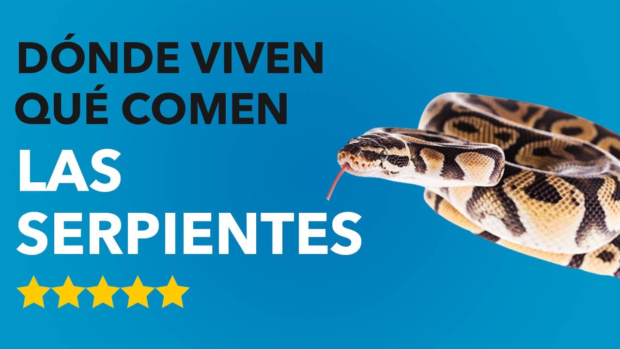 ¿Quién se alimenta de las serpientes en la naturaleza?