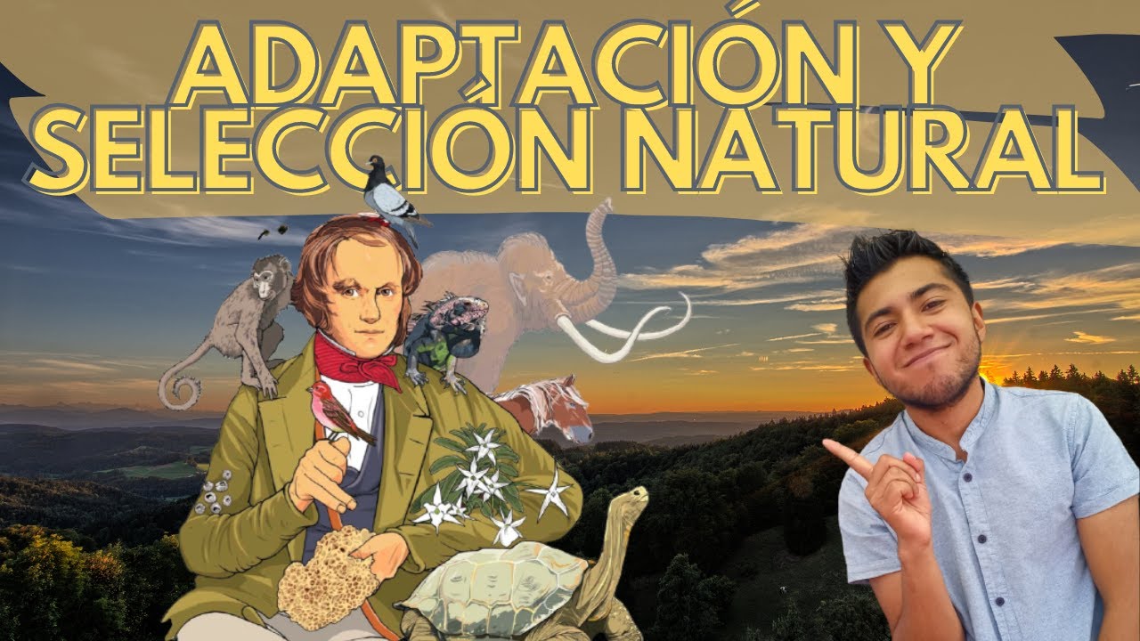 Adaptación y selección natural: una relación crucial en la naturaleza