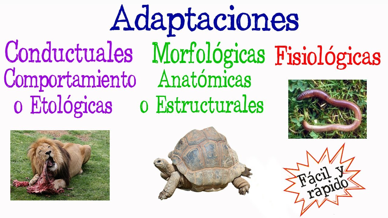 Adaptaciones nutricionales del ser humano