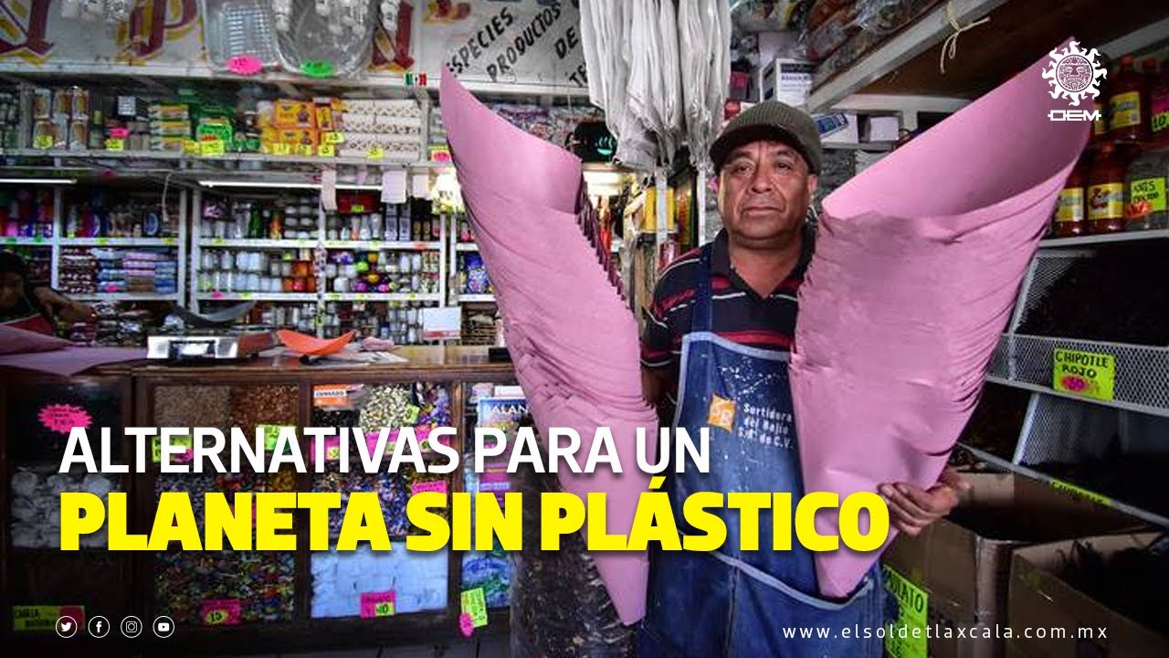 Alternativas ecológicas para reemplazar las bolsas de plástico