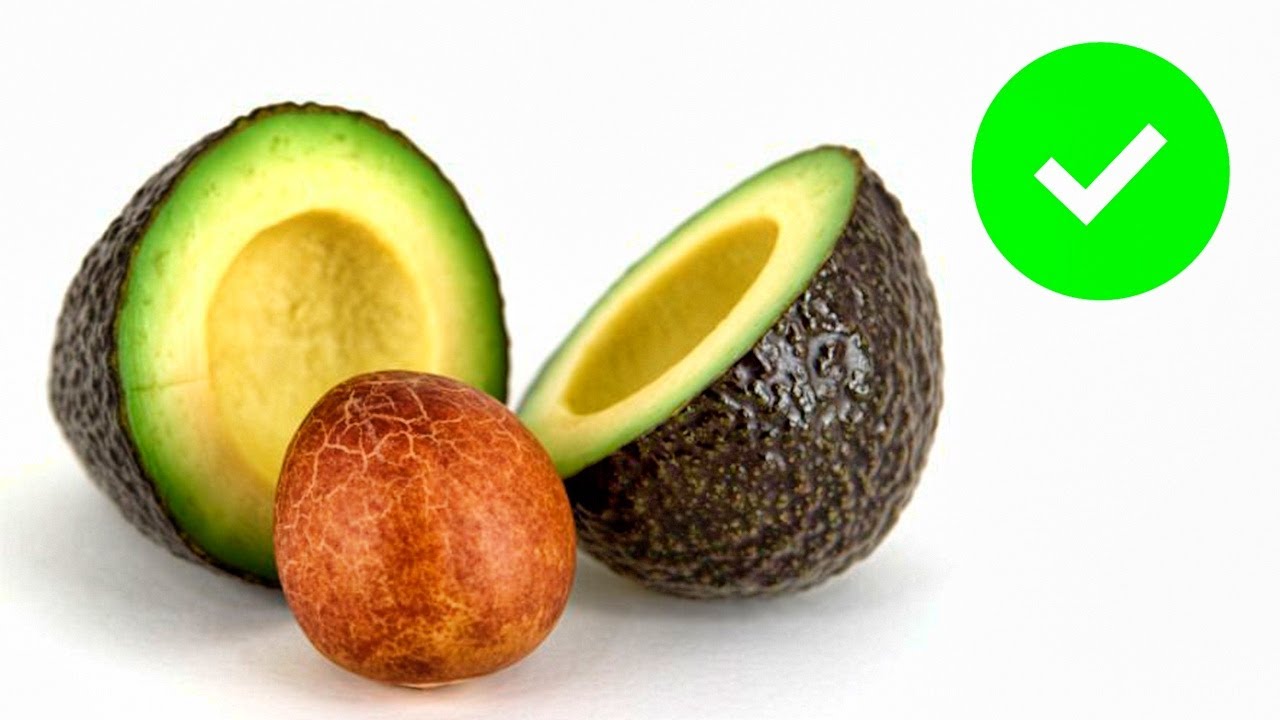 Anatomía de la semilla de aguacate