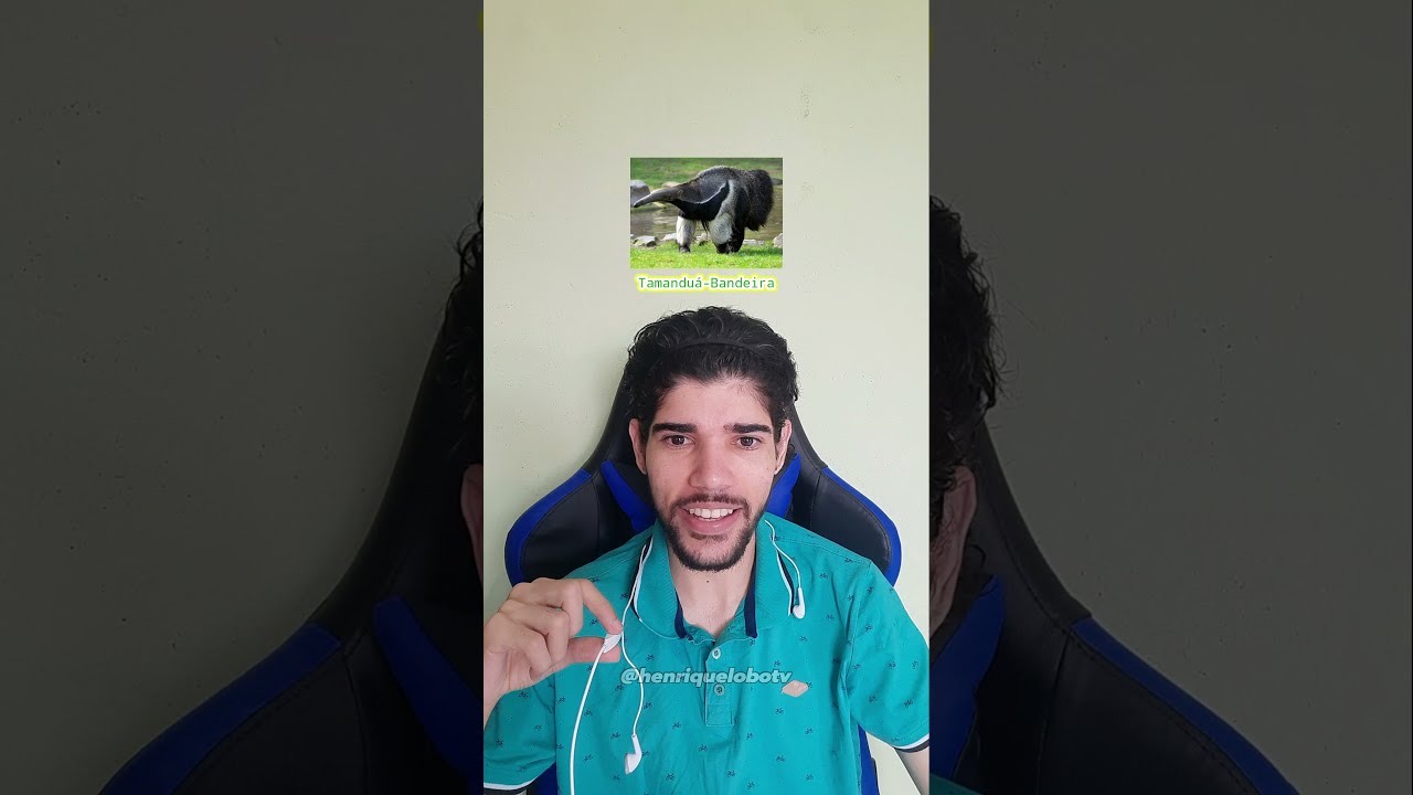 Animal representativo de Brasil: descúbrelo