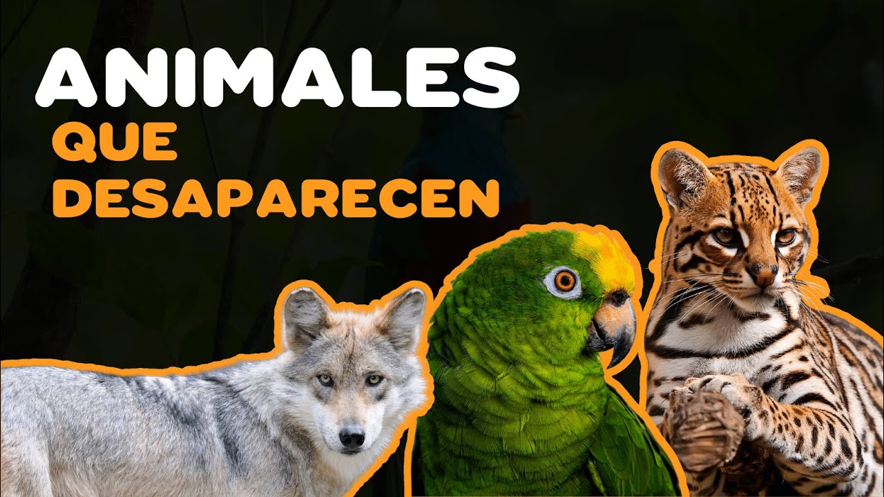 Animales en peligro de extinción en Tlaxcala