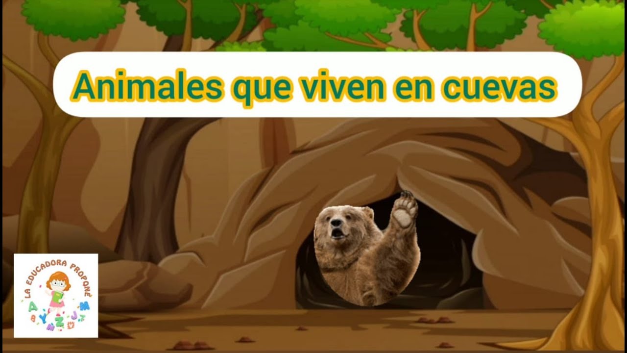 Animales que habitan en cuevas