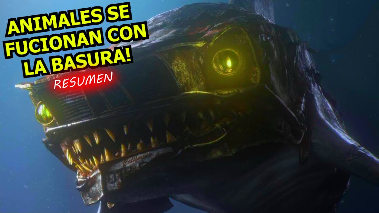 Animales que se alimentan de basura