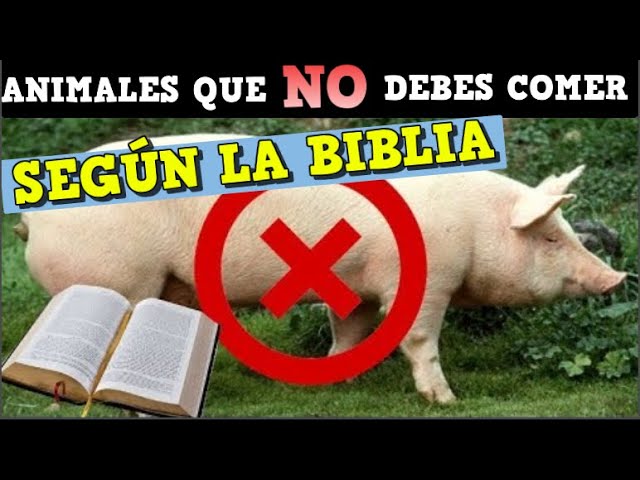 Animales rumiantes de pezuña hendida: Una lista