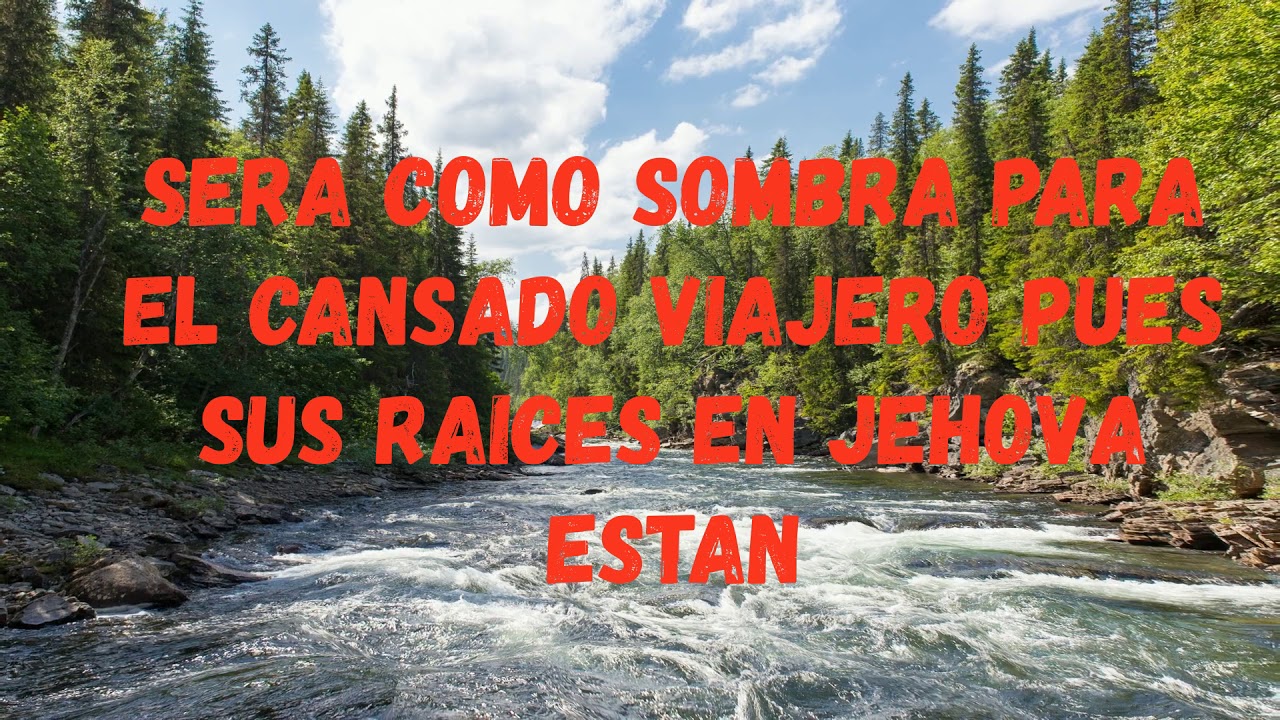 Árboles que prosperan junto a ríos