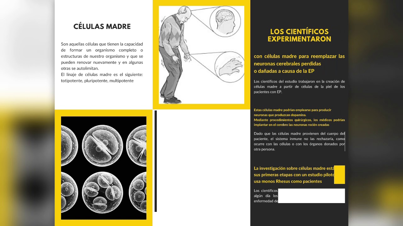 Avances científicos en reproducción celular