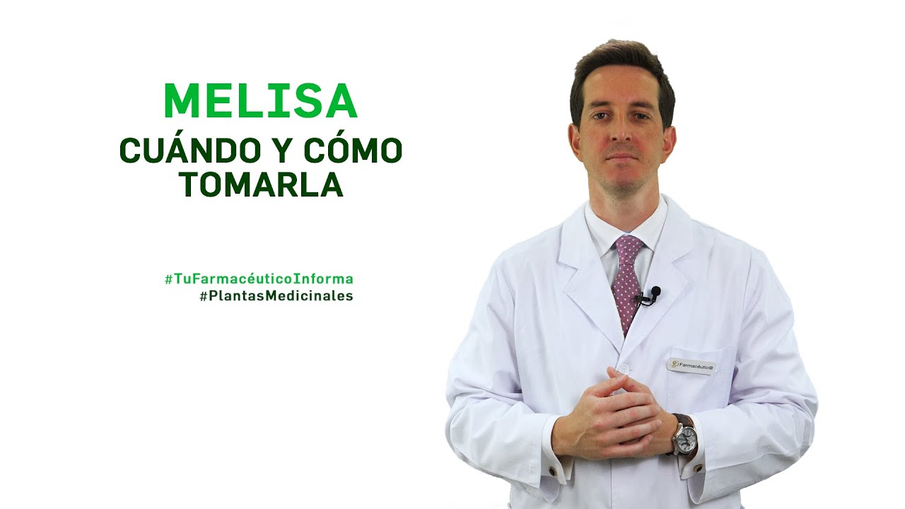 Beneficios del té de melisa
