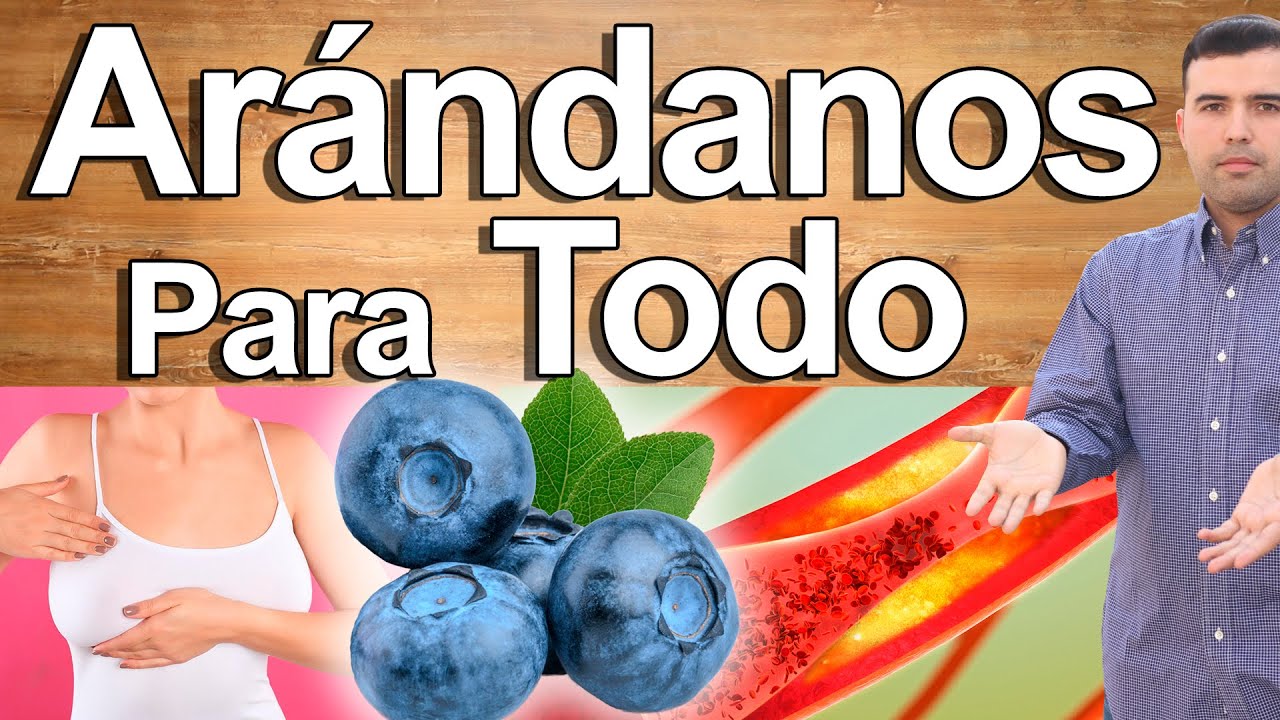 Beneficios y usos del té de arándano