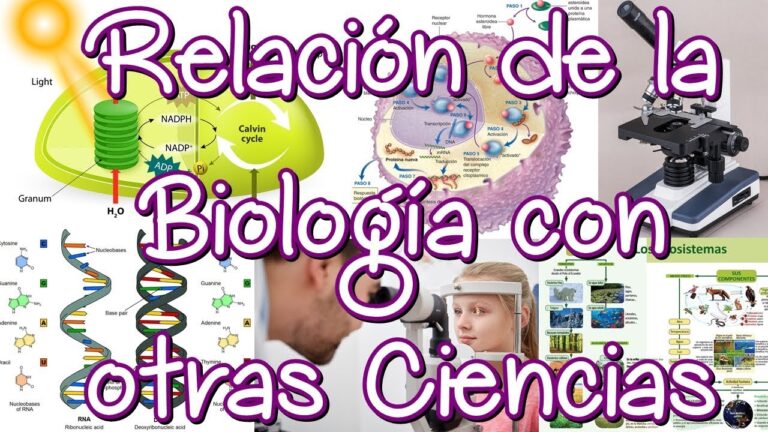 Biología y geografía: una relación vital - Mi Tienduca