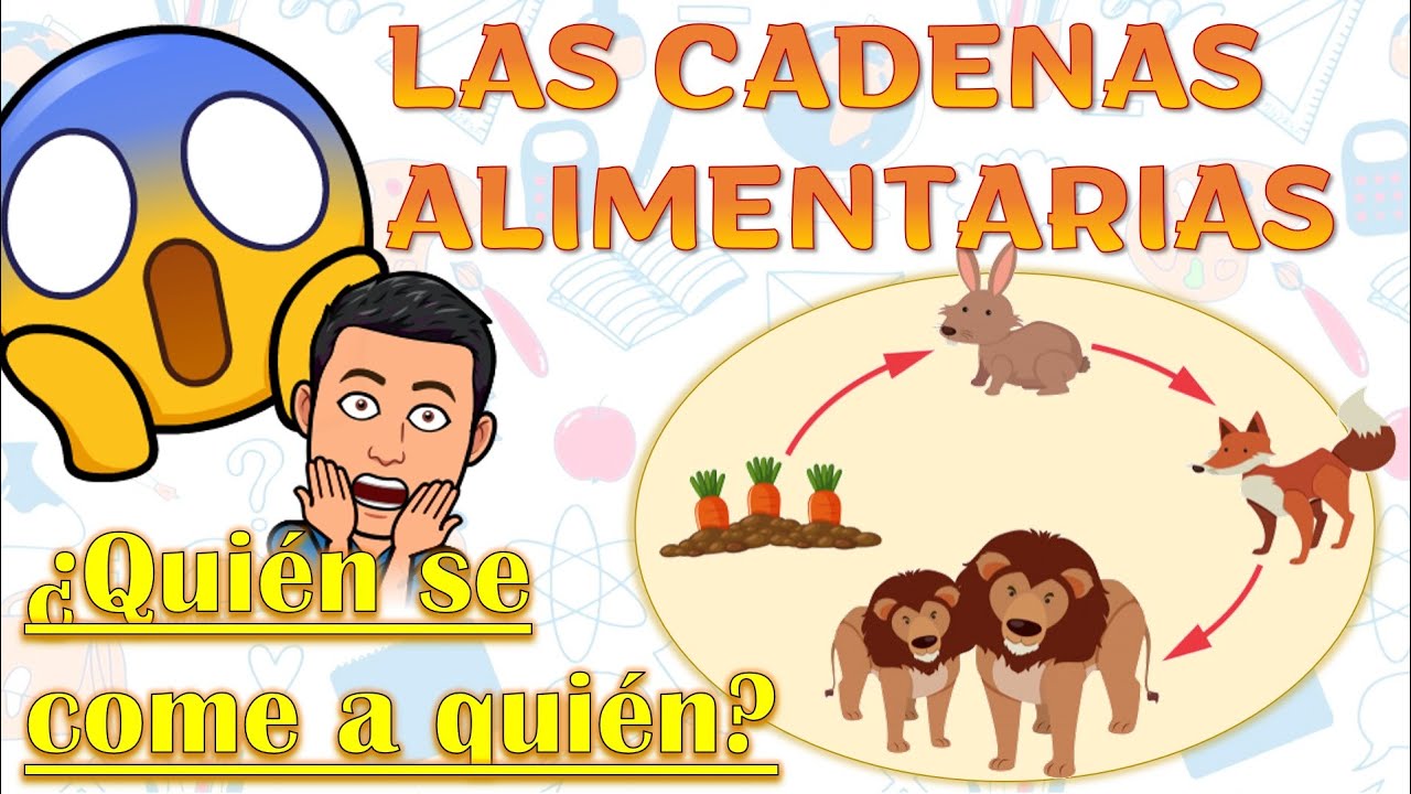 Cadena alimenticia: ¡Descubre quién se come a quién!