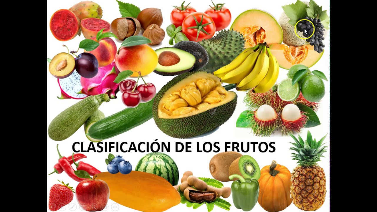 Clasificación de frutos según su morfología