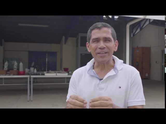 Cómo construir un huerto vertical paso a paso: Guía práctica
