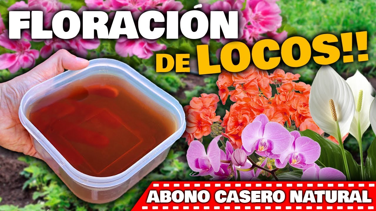 Cómo hacer florecer las plantas