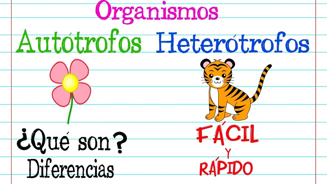 Comparativa: organismos autótrofos vs. heterótrofos