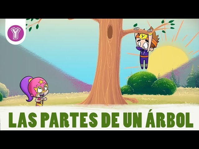 Conoce las partes de un árbol