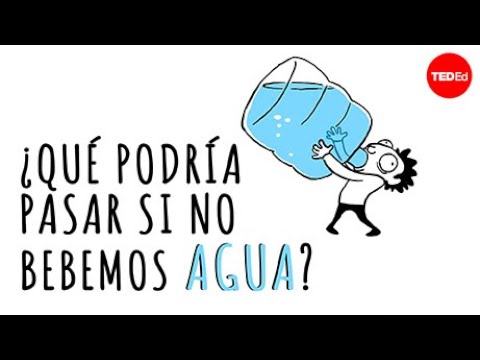 Consecuencias de no beber agua potable