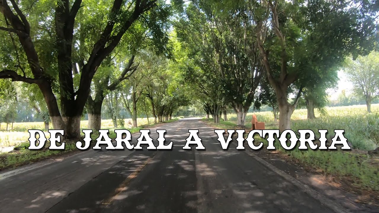 Descripción del clima en Victoria de Cortázar GTO