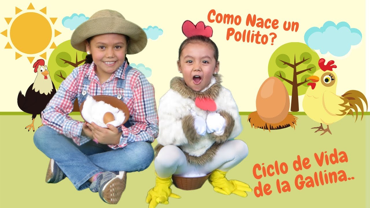 Descripción divertida de un pollito para niños